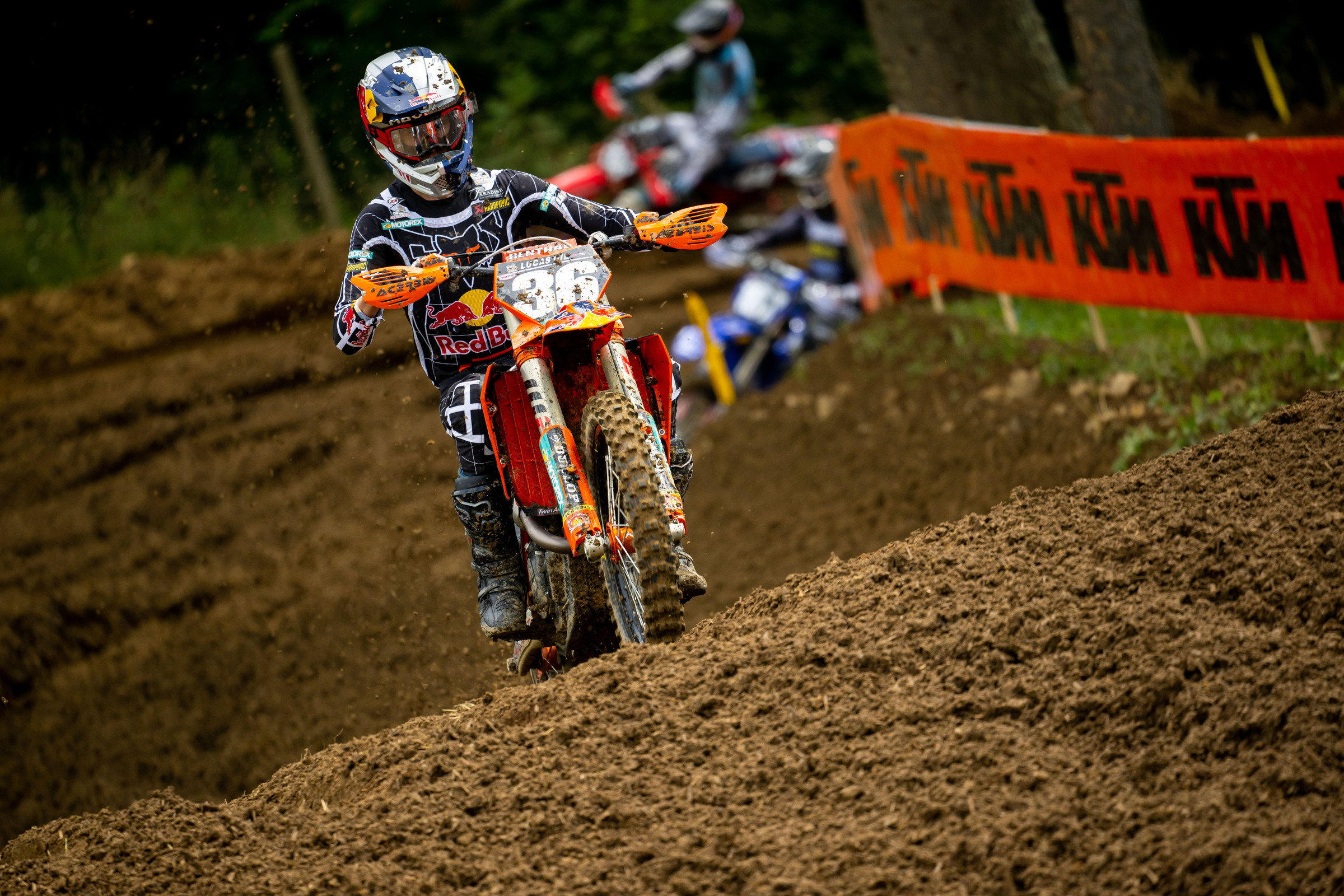 250 Words: Vohland and Mosiman