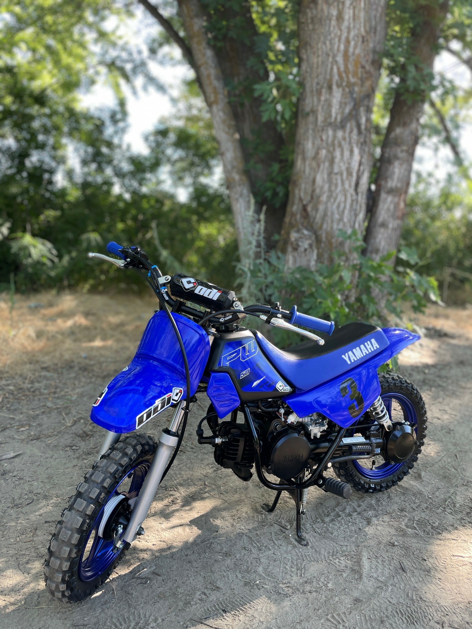 2022 Yamaha PW50 with ODI Bars