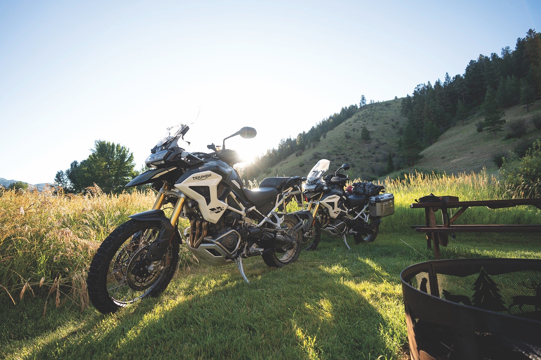 A pair of Triumph Tiger 1200 Rally Pros