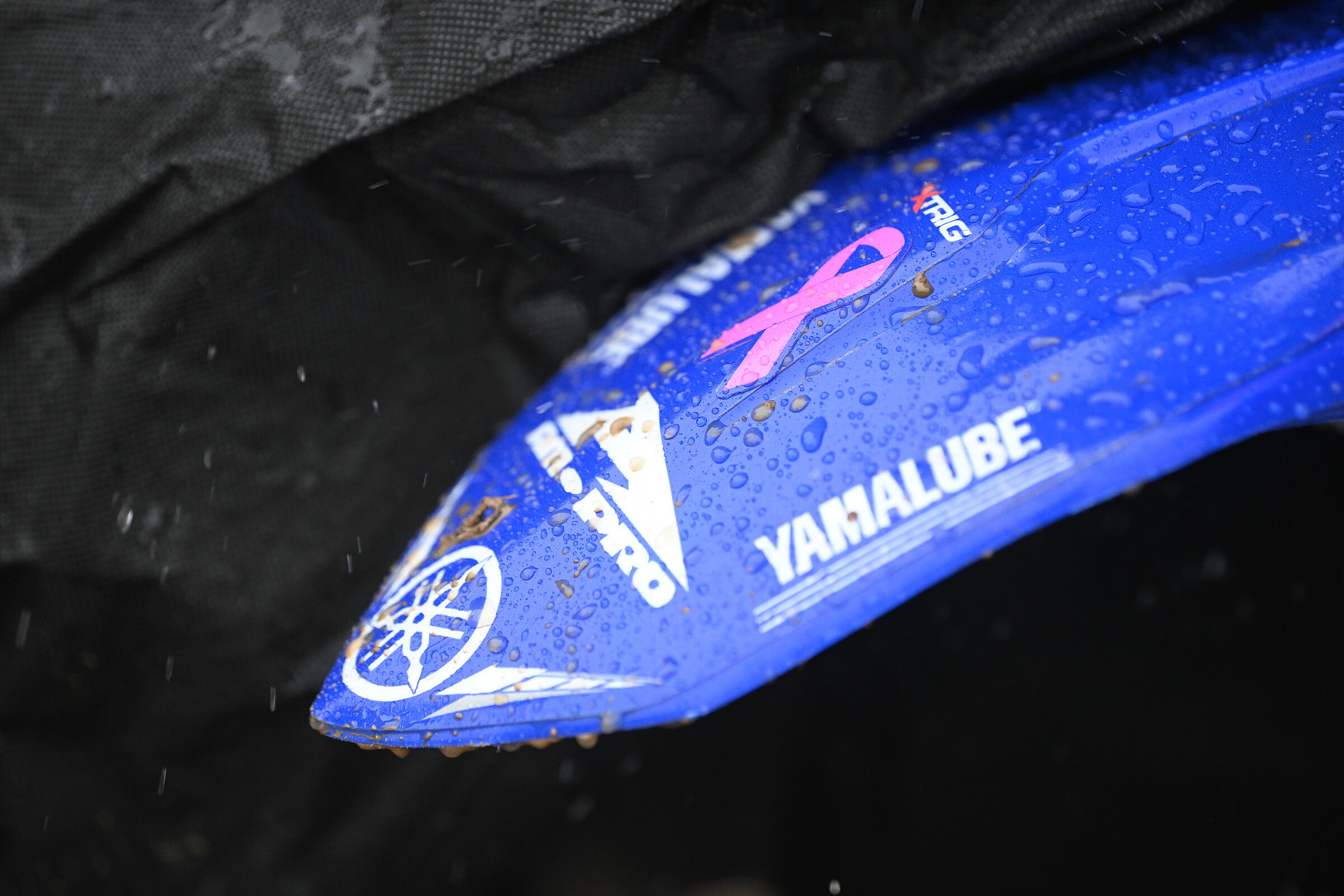 This year $10,000 was raised for Breast Cancer Awareness in Indiana.