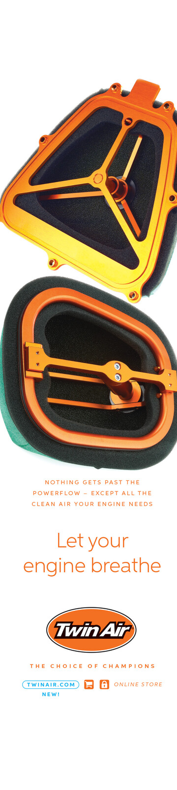 Advertisement: Twin Air