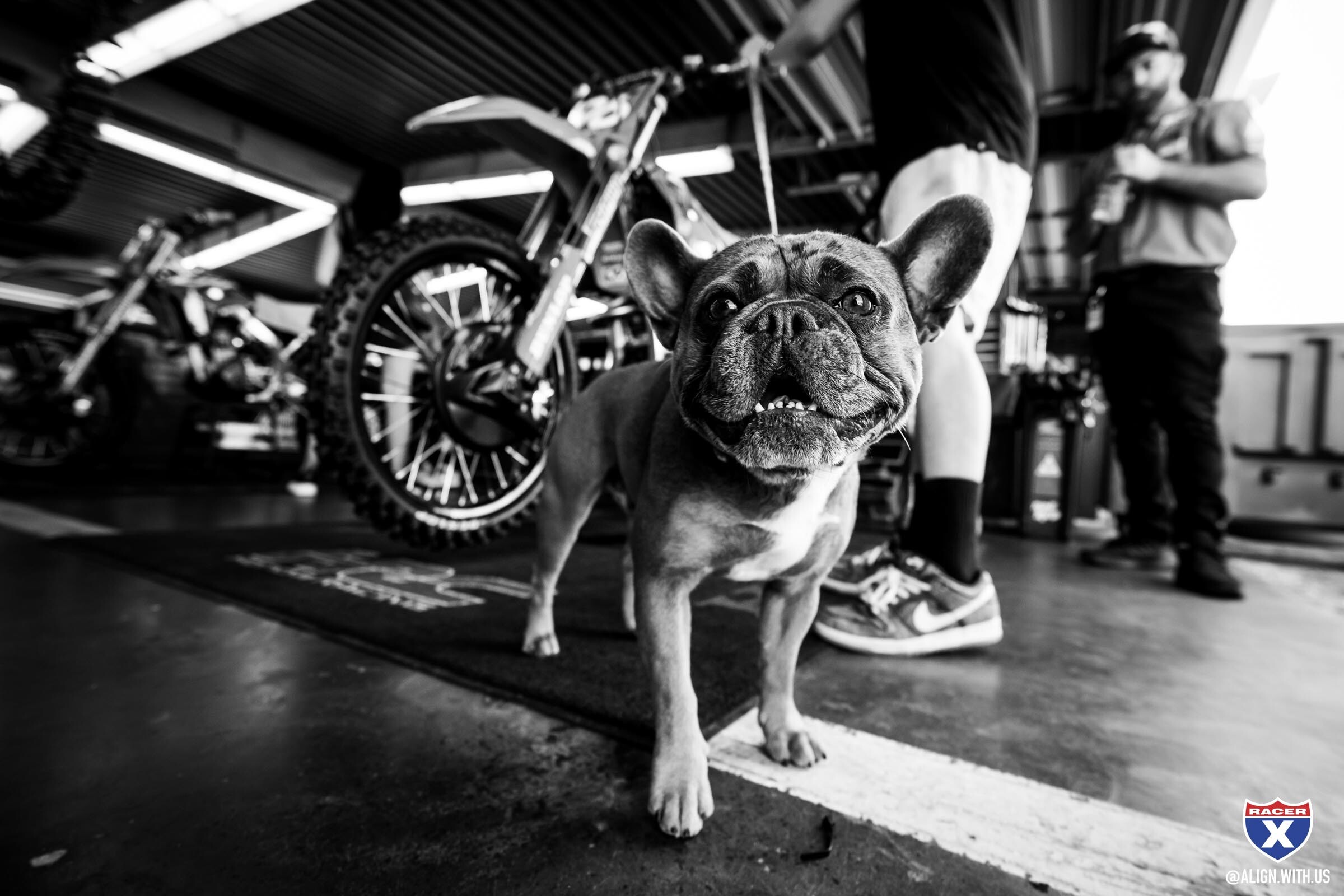 2023_DAYTONA_SX_ALIGN_MEDIA_X_RACER_X_019