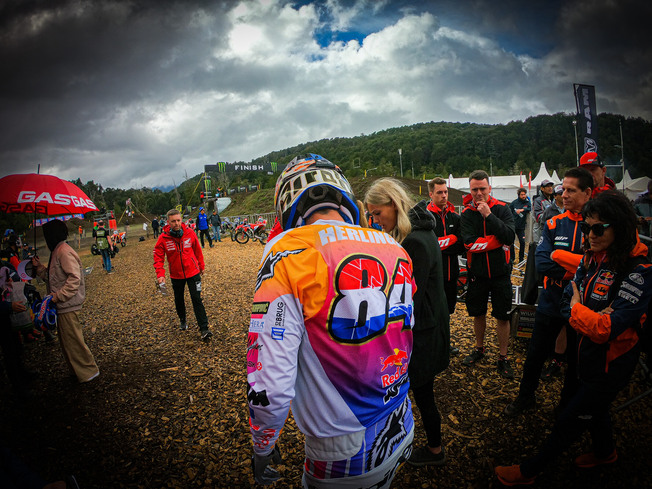 herlings5