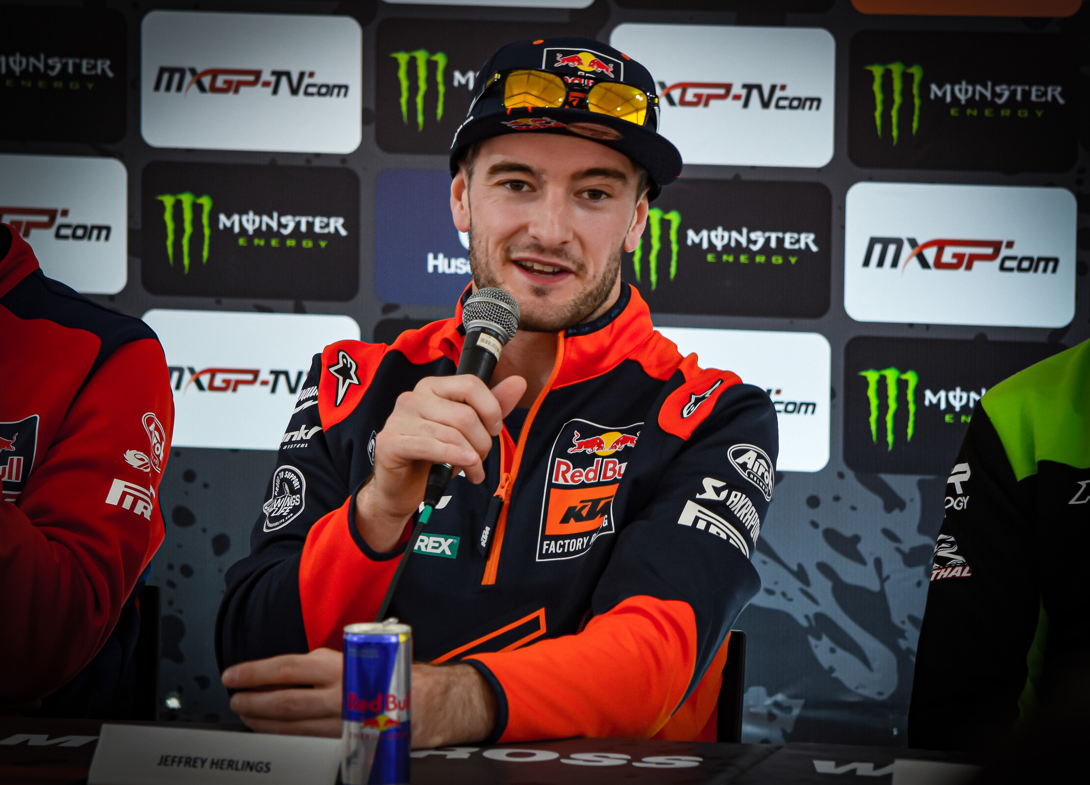 herlings8