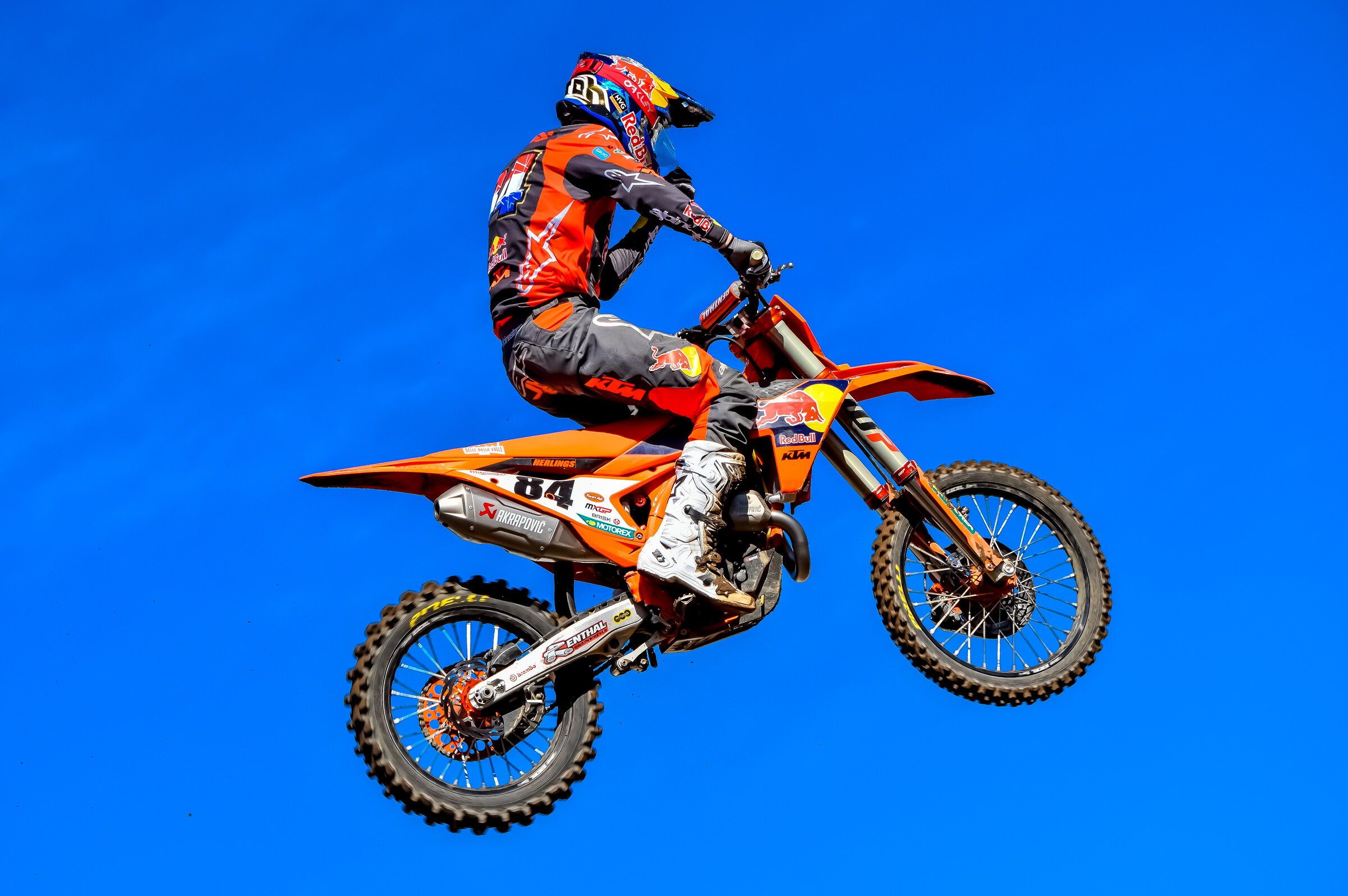 herlings2