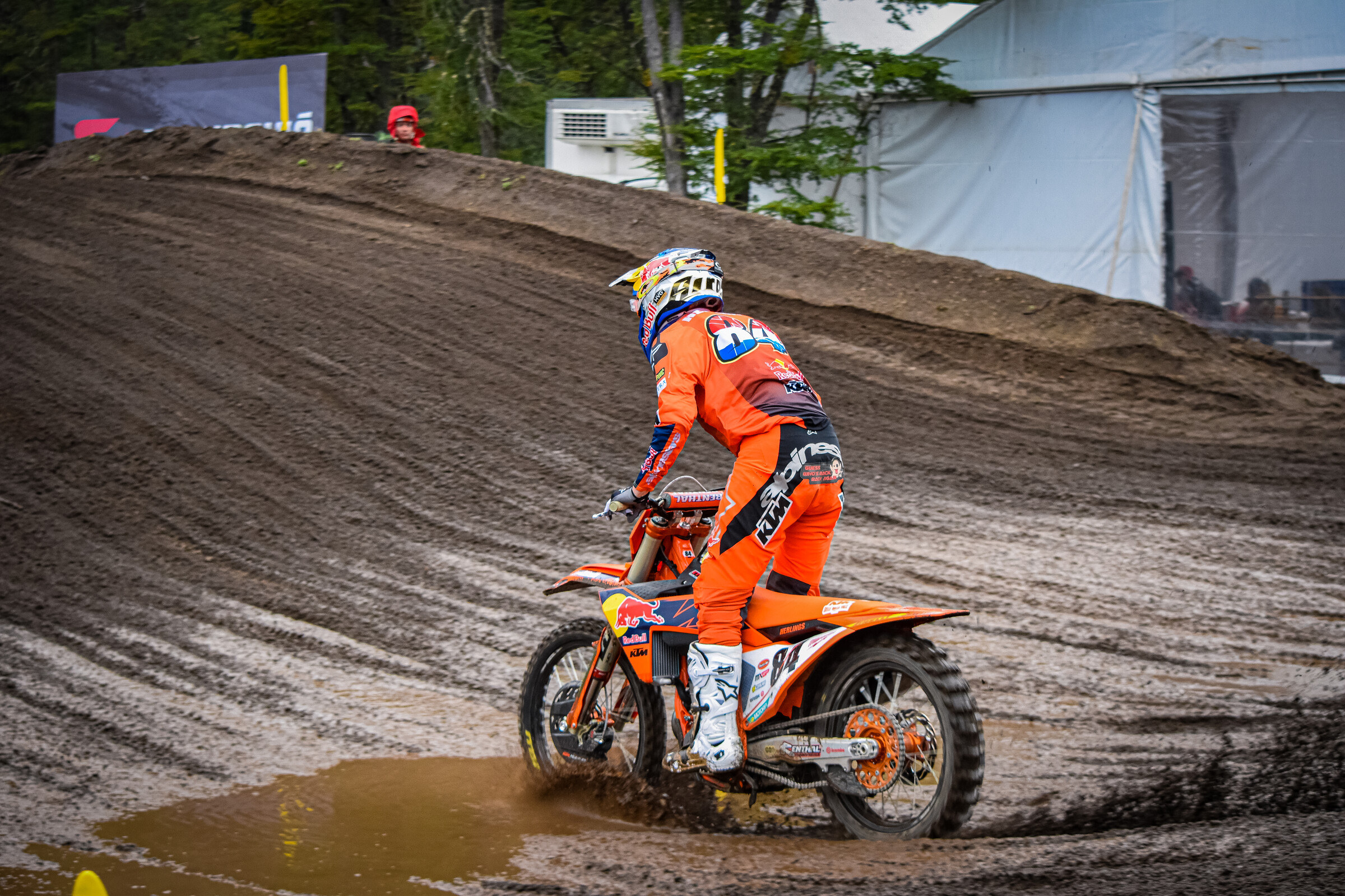 herlings3