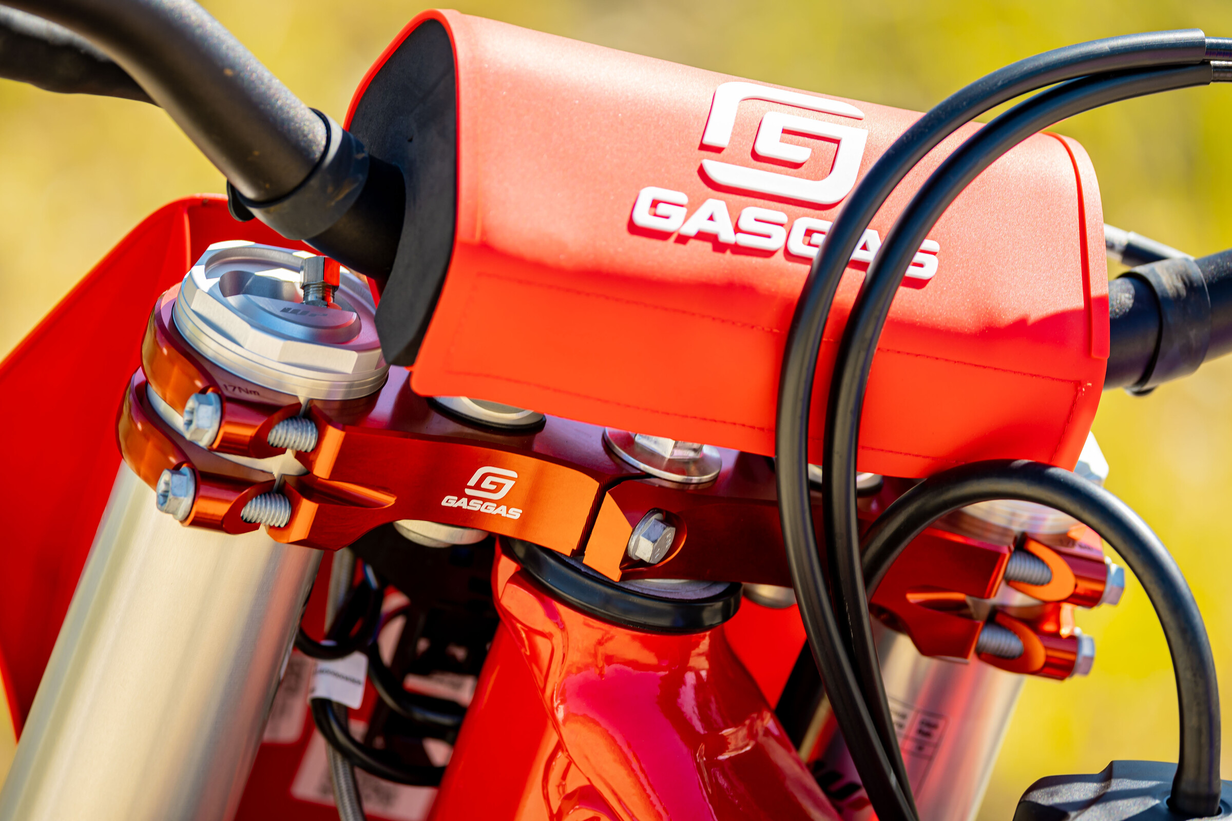 GasGas MC 450F Factory Edition