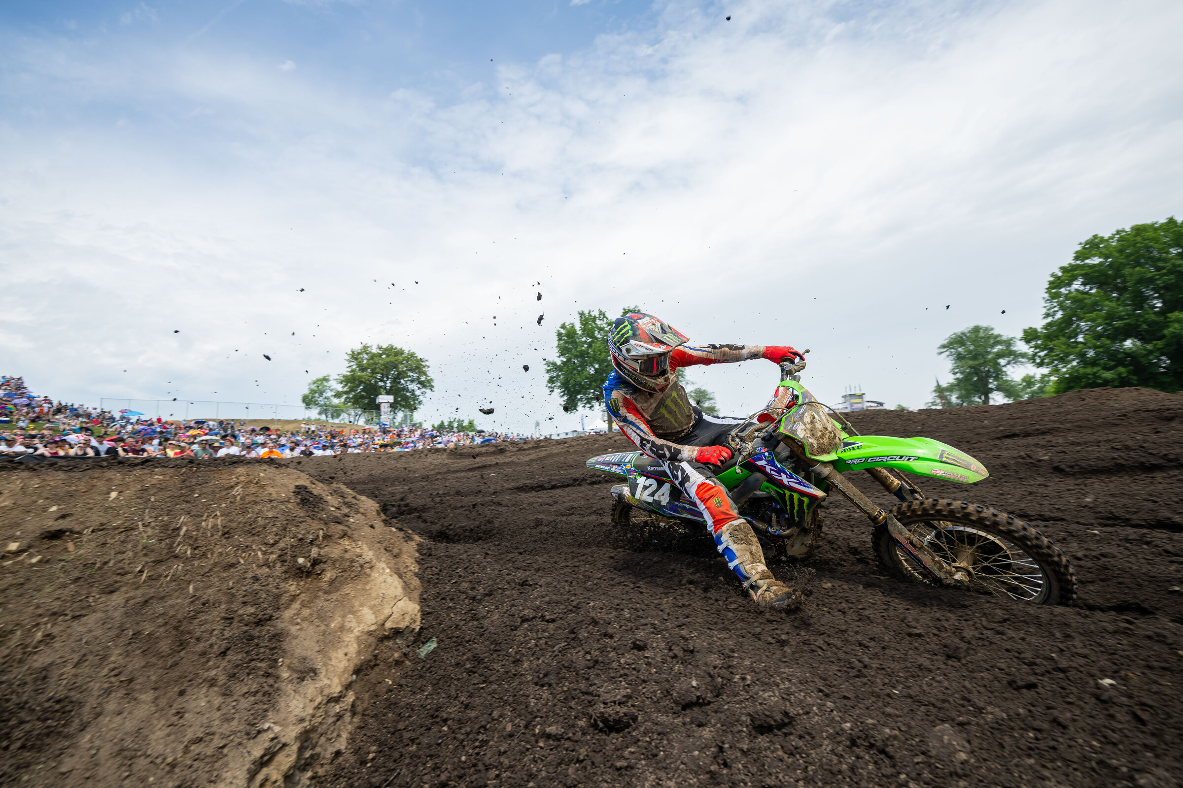 Gallery: RedBud