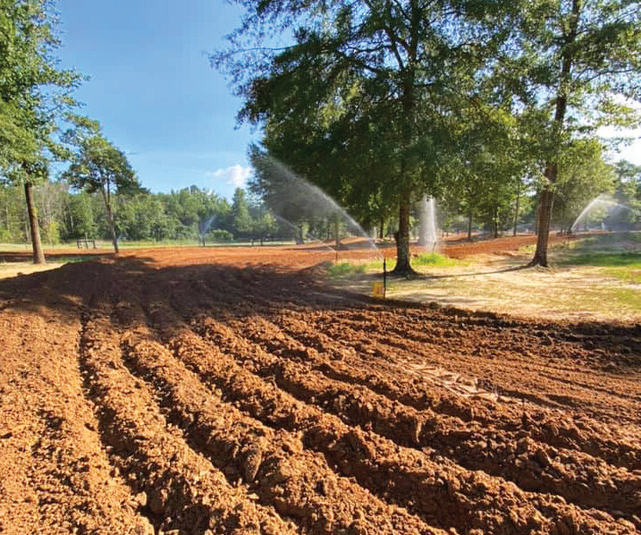 The track is part of the Alabama State MX Series and holds numerous race events throughout the year.
