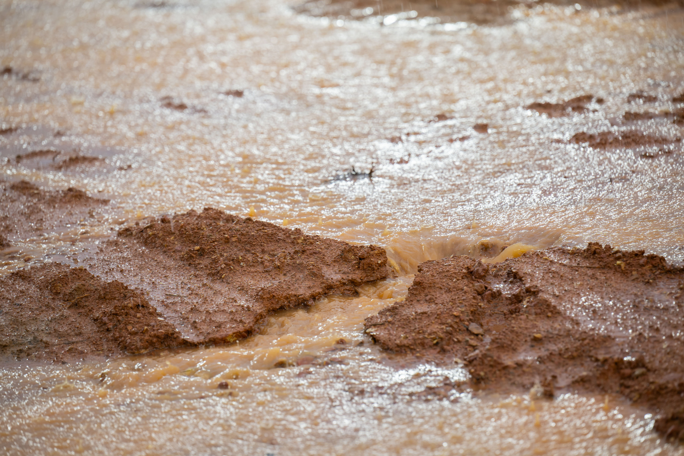 The track is in much better shape now than it was yesterday!