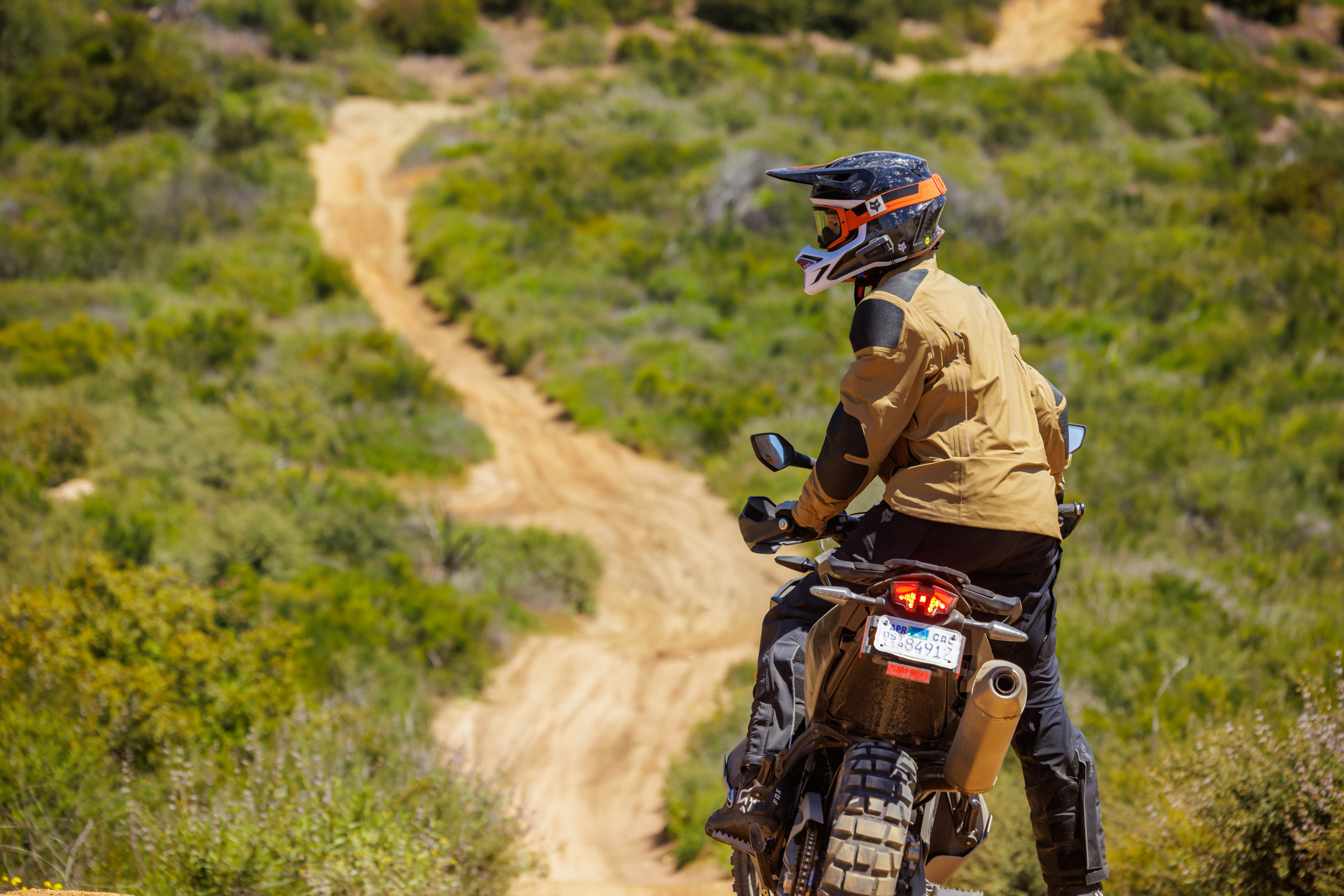 Gallery: Fox Adventure Intro