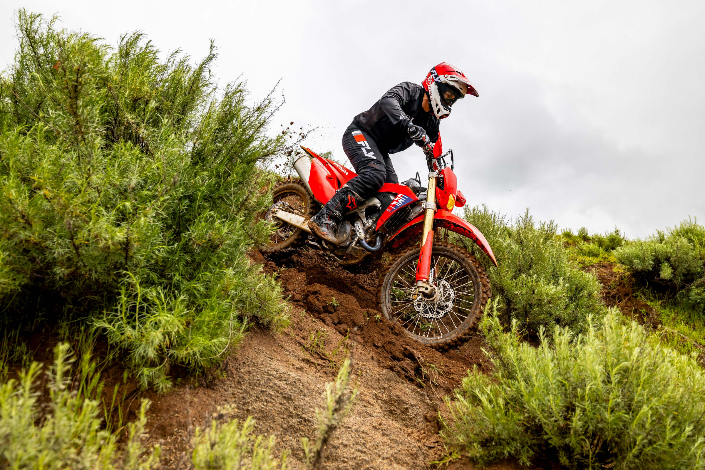 25 Honda CRF450X_action_8