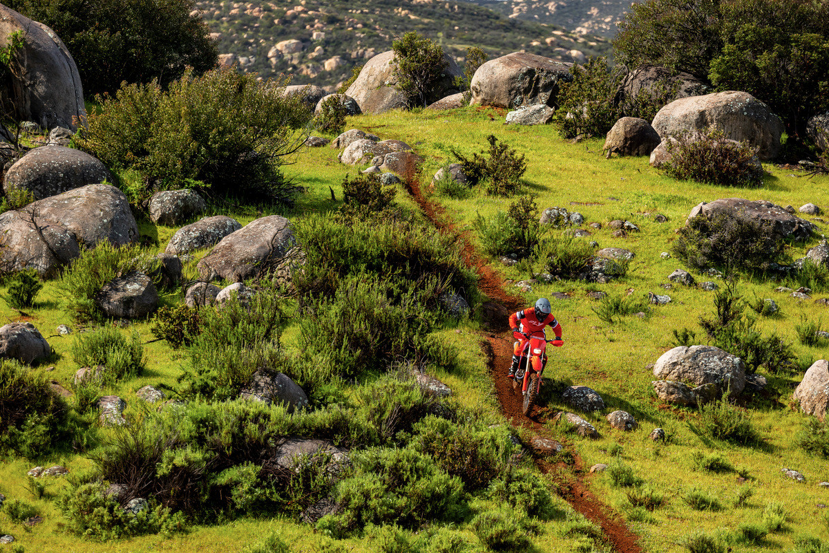 25 Honda CRF450X_action_12