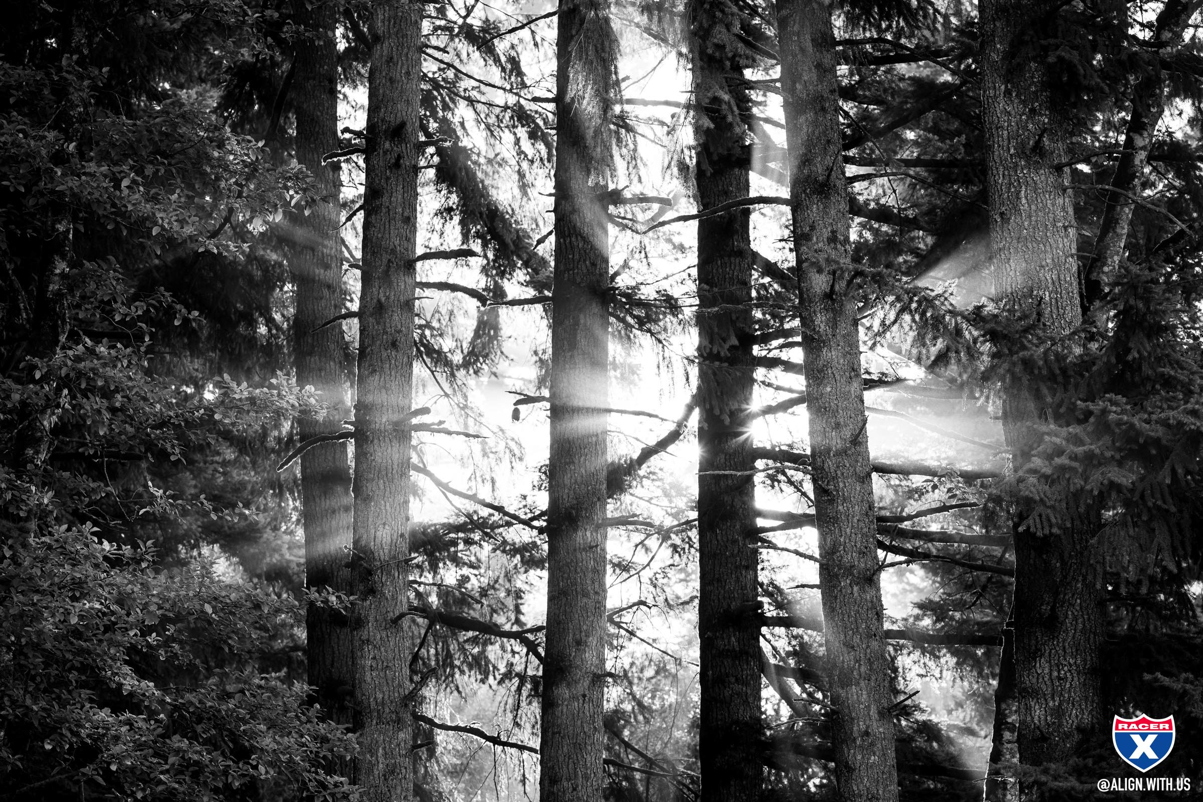 2024_WASHOUGAL_MX_ALIGN_MEDIA_X_RACER_X_003