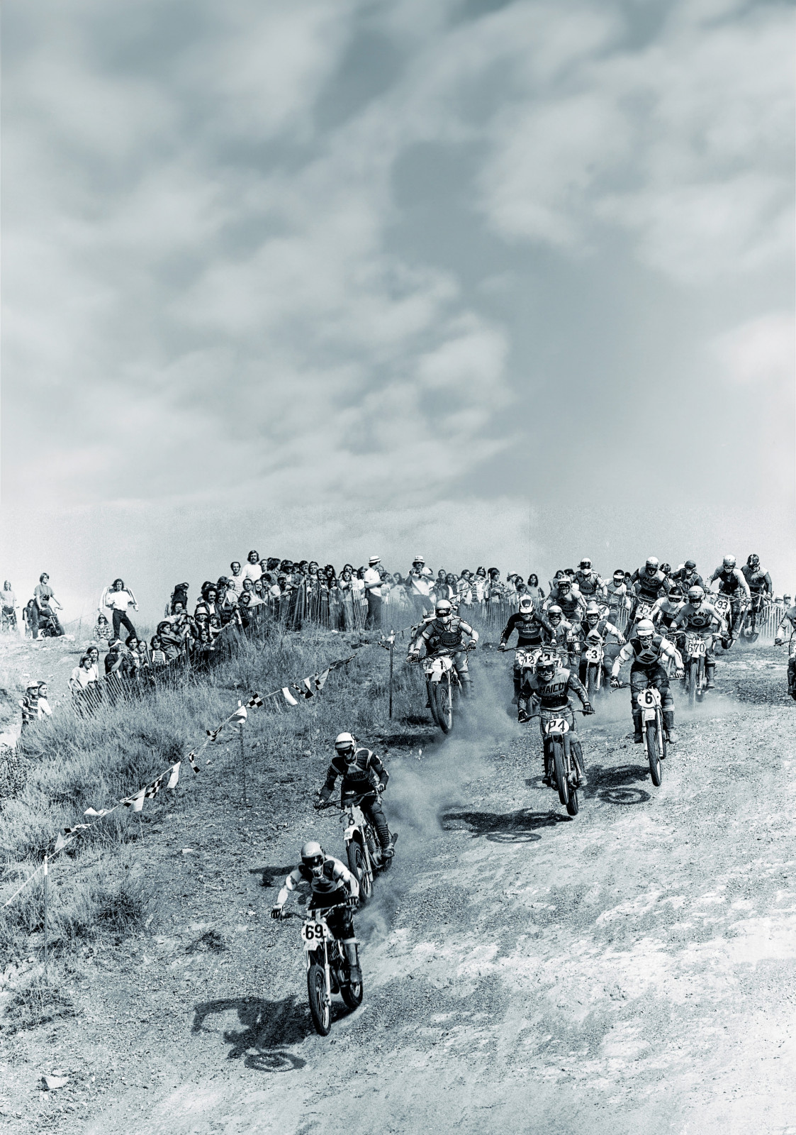 V27_12 RX Saddleback