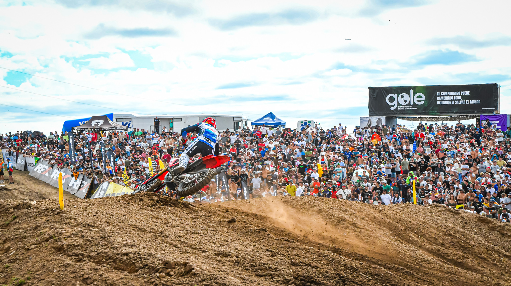 84 tim and the crowd