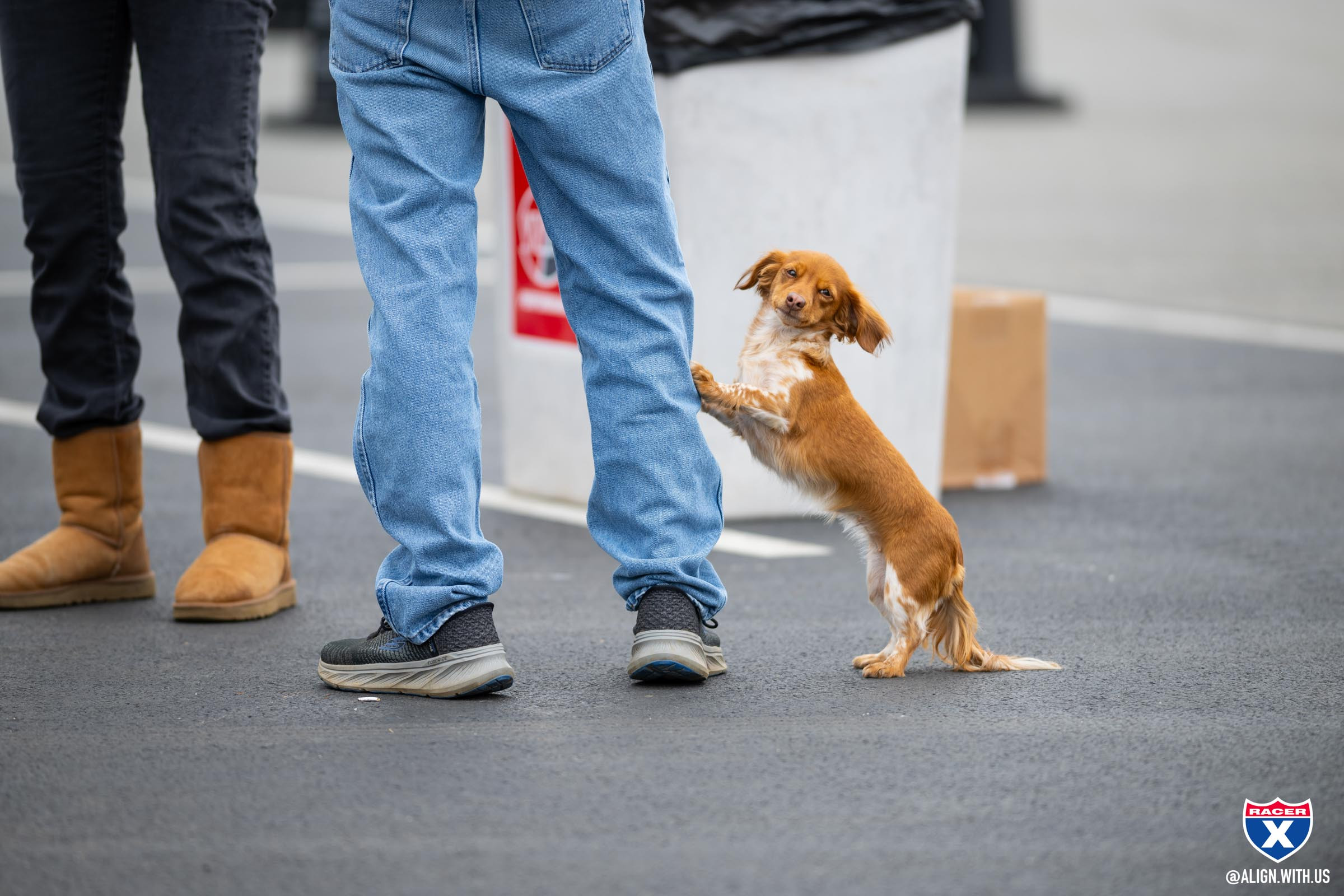 2025_FOXBOROUGH_SX_ALIGN_MEDIA_X_RACER_X_032