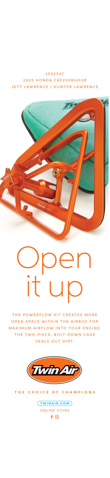 Advertisement: Twin Air