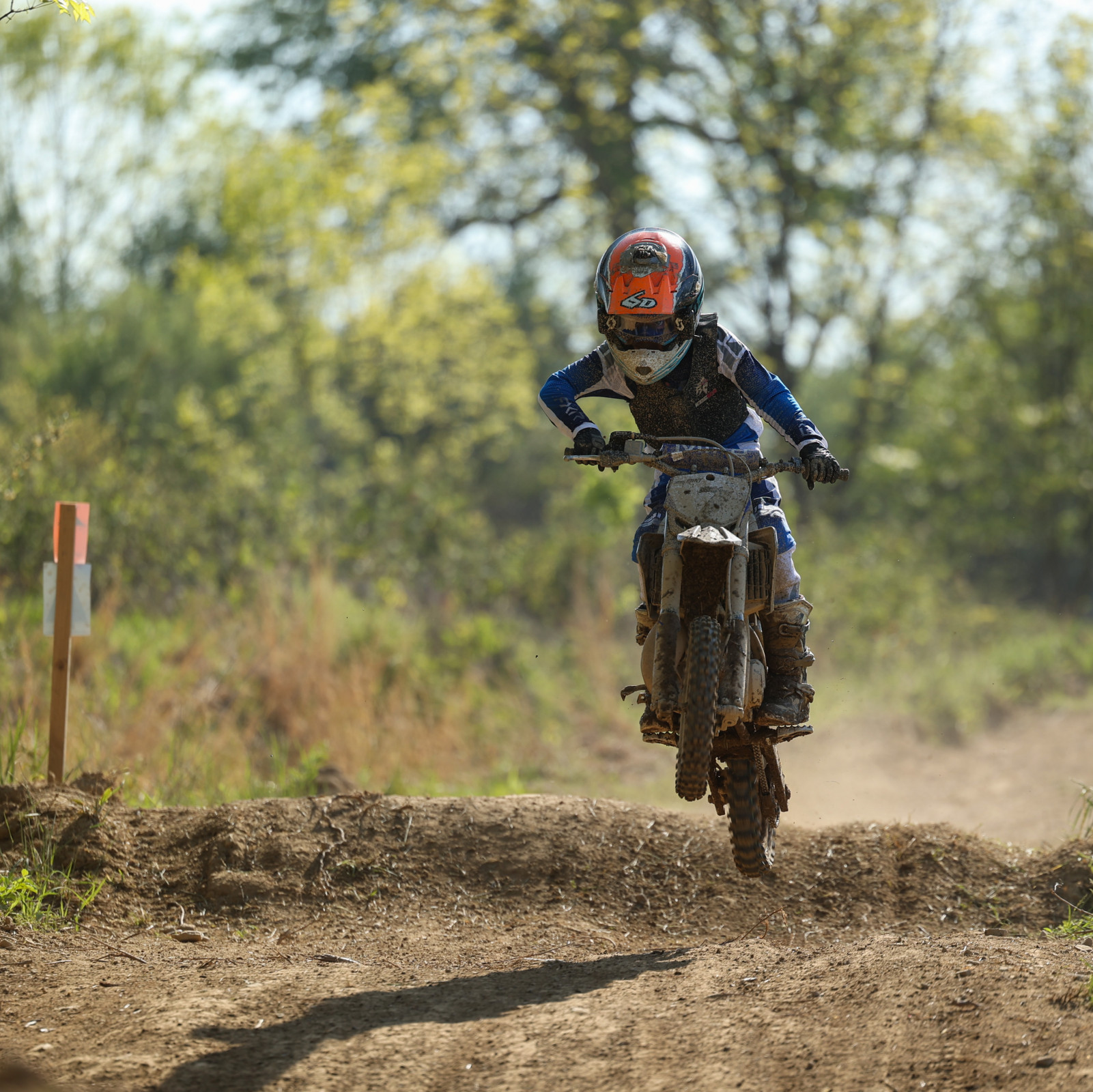 82CEA6D4-FE8F-4708-82AE-A082FB75229A