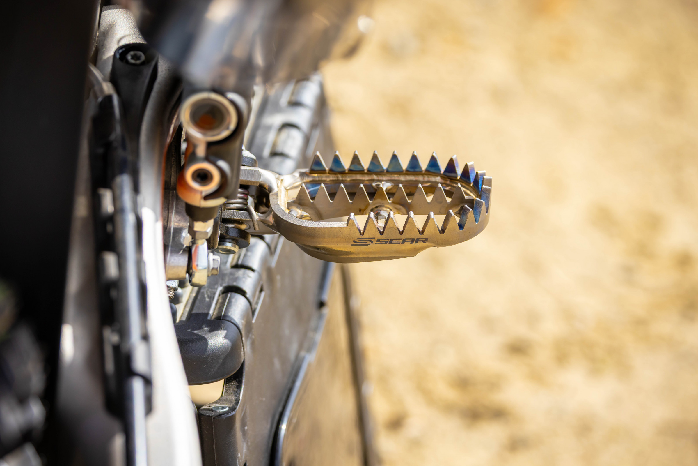 PalaApril22-2025-CudbyPhoto-013