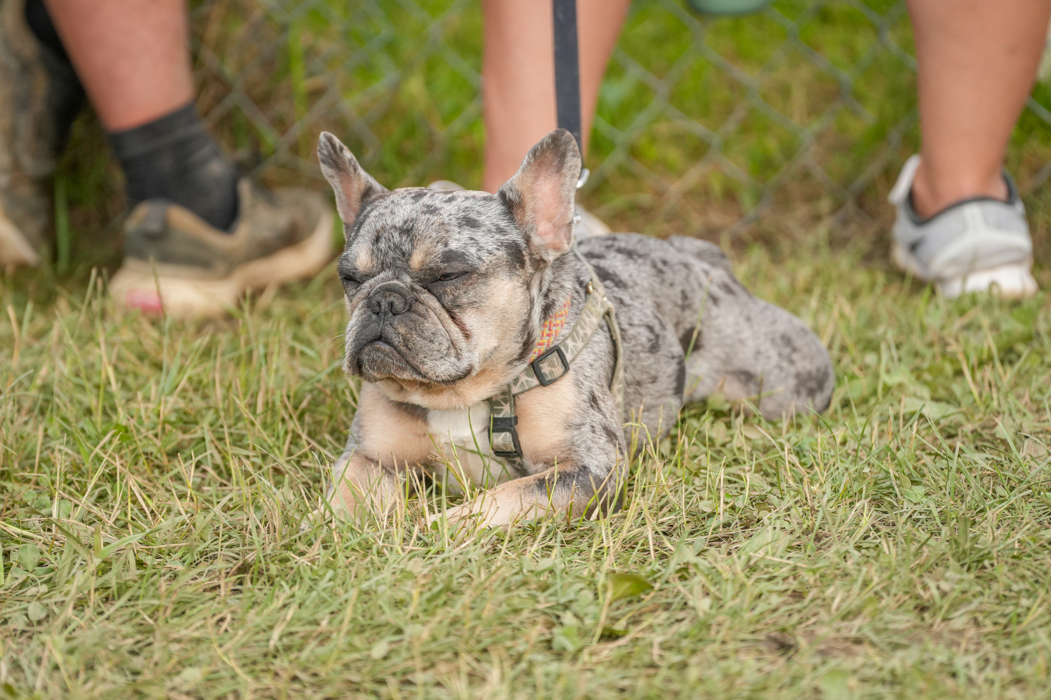 1749505934_5774baabe2cde73f2a09