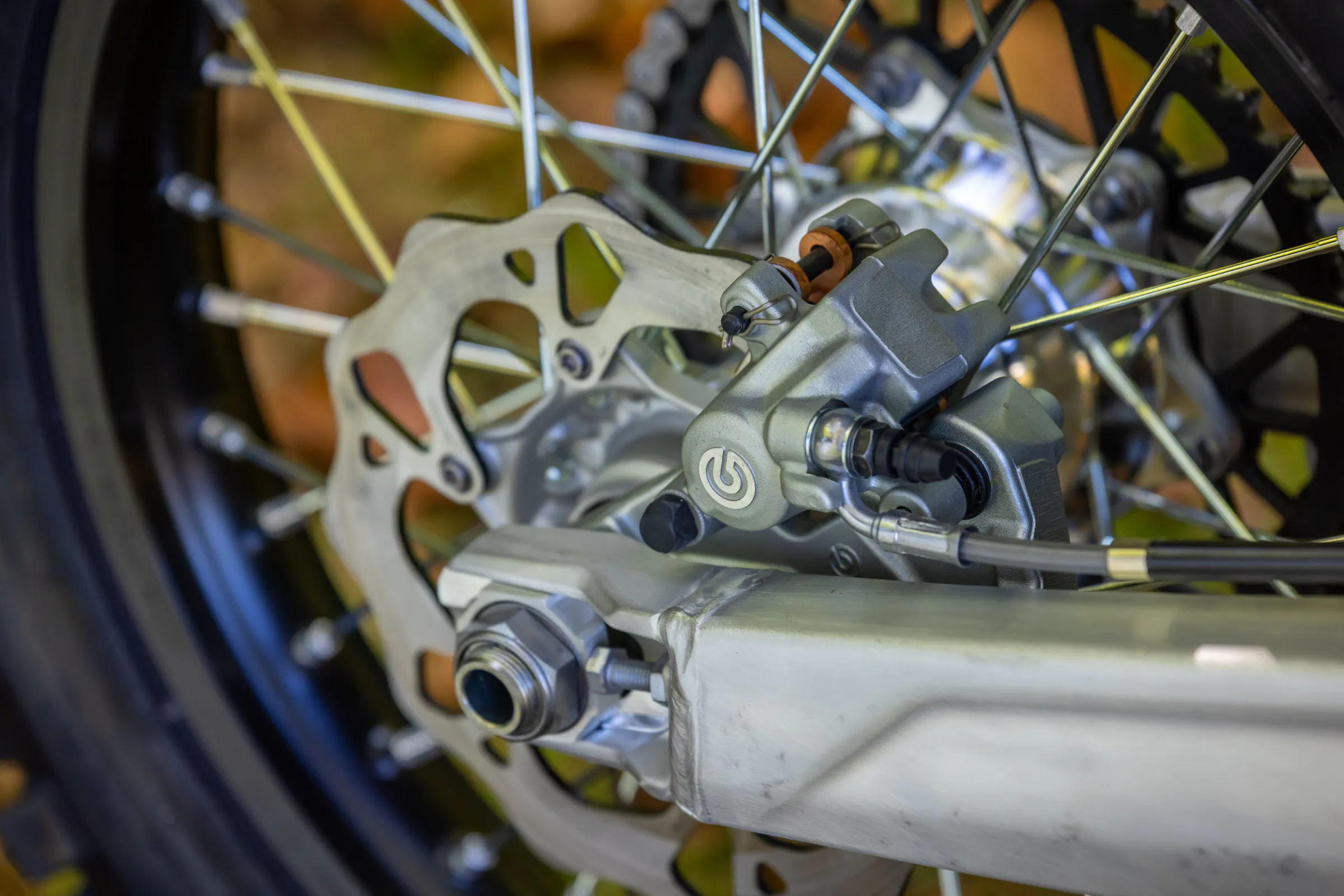 FAM_CROSS_COUNTRY_MY26_3778