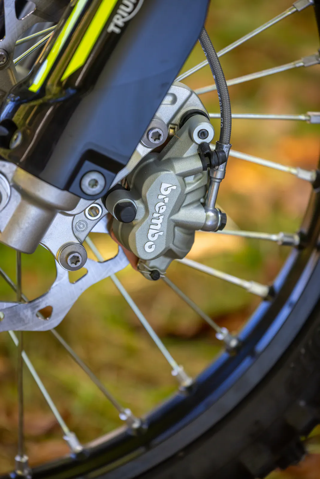 FAM_CROSS_COUNTRY_MY26_3786