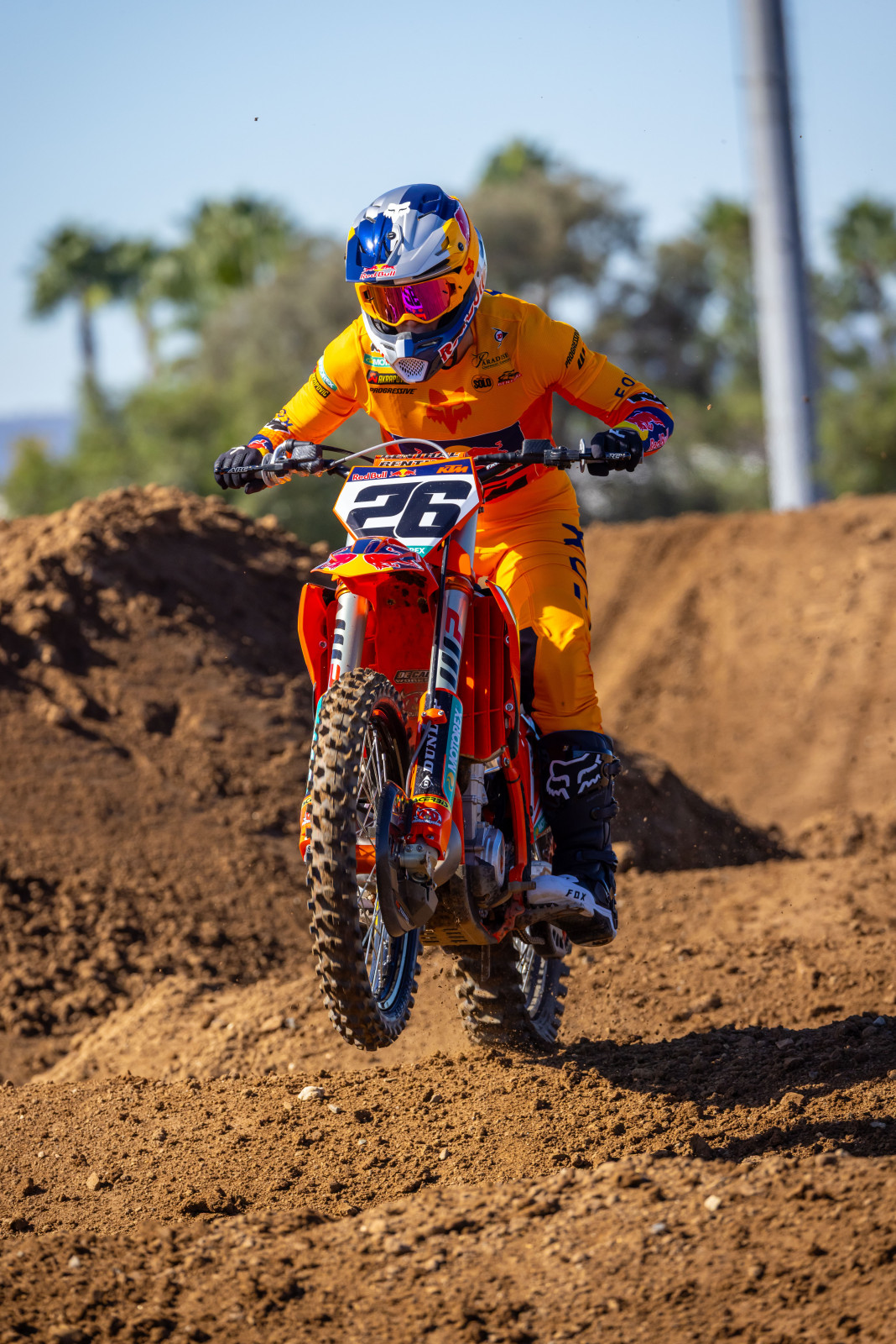 Jorge Prado