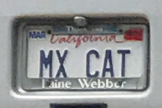 Cinnamon Hammaker_AlignMedia_SMX25_Las Vegas_068