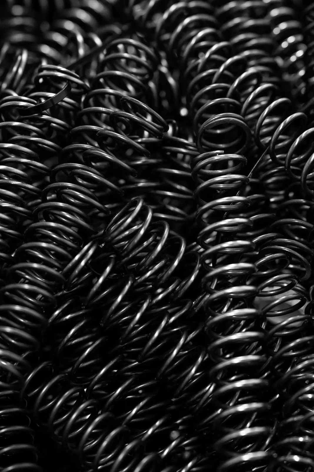 2026_MX6_Team_Shoot_Align_Media_004