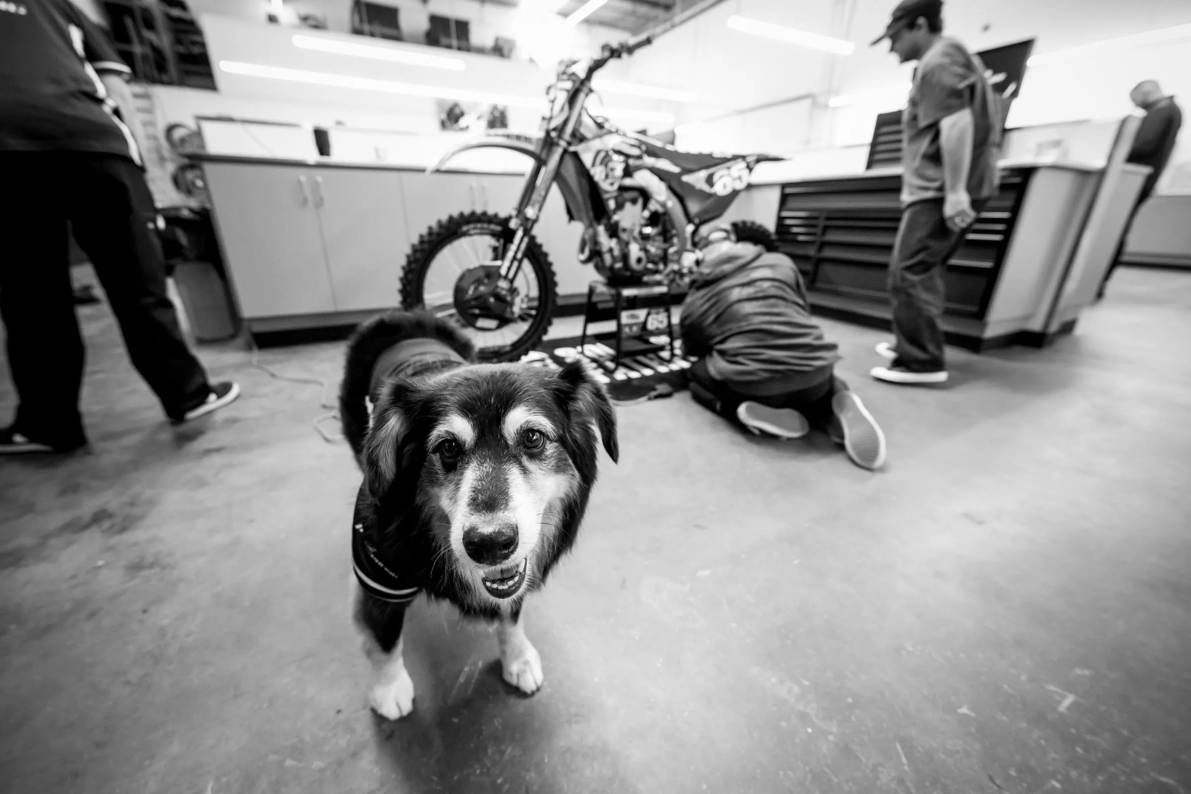 2026_MX6_Team_Shoot_Align_Media_127