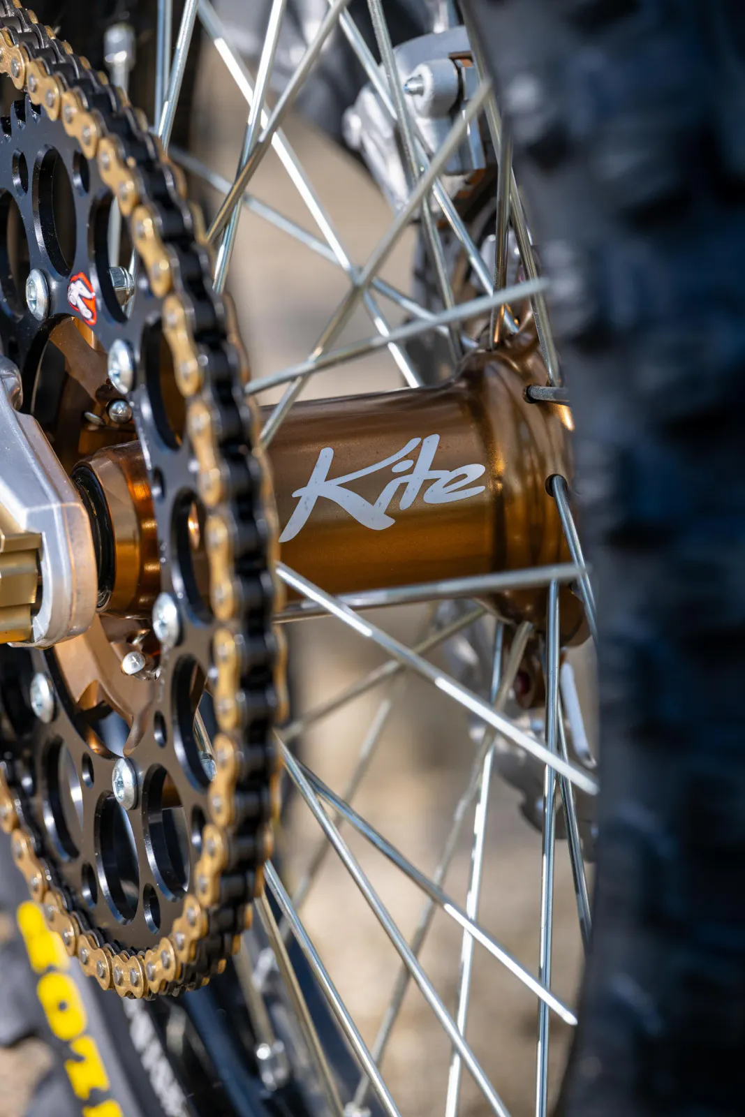 2026_MX6_Team_Shoot_Align_Media_050