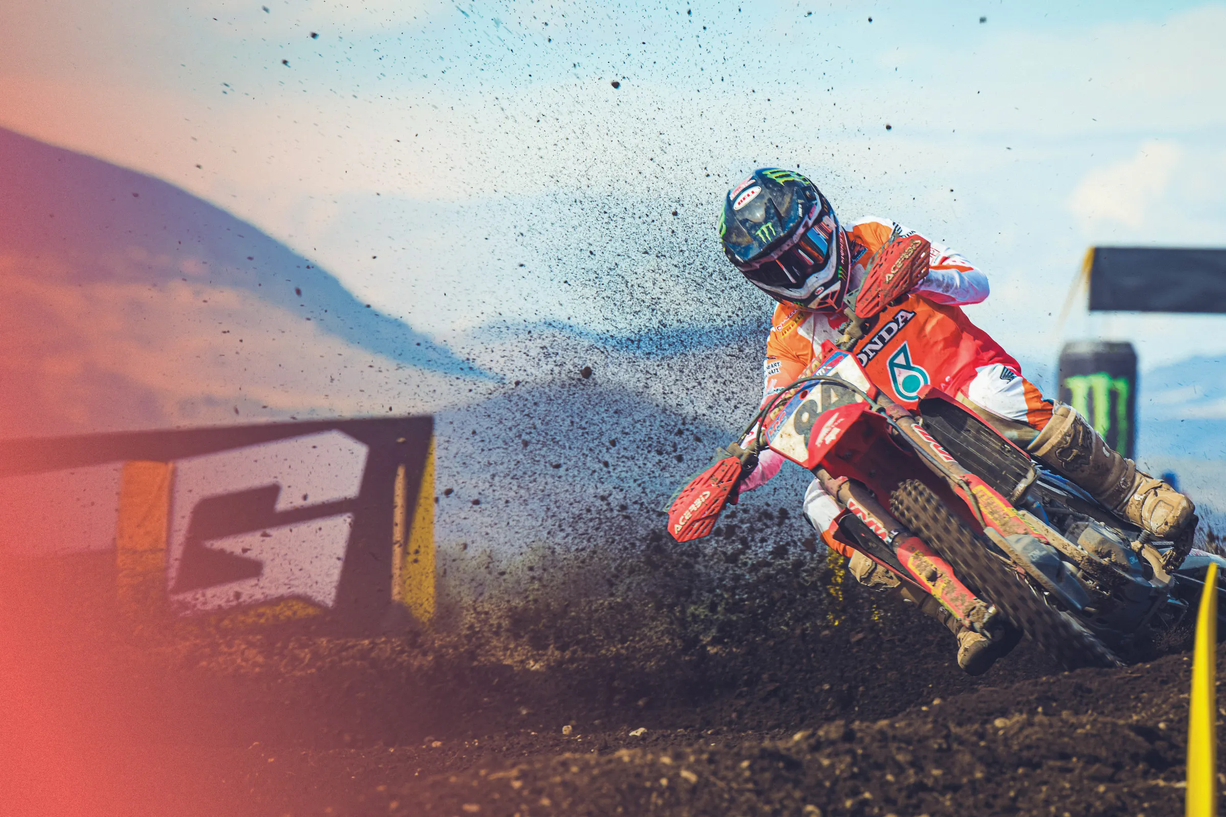 V29_6 RX Herlings