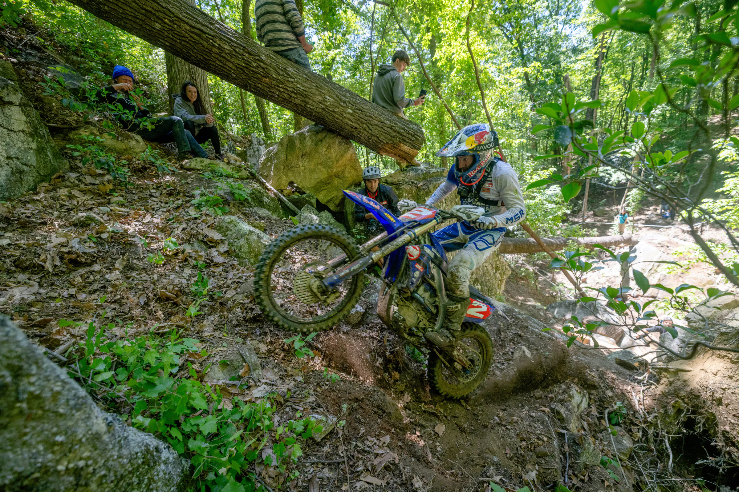Cody Webb