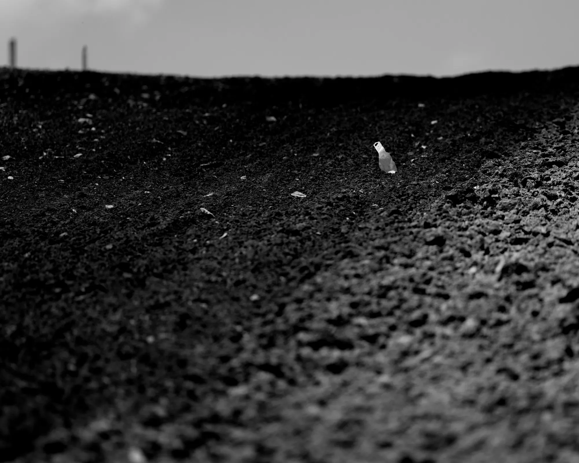 PVR_Sunday-210
