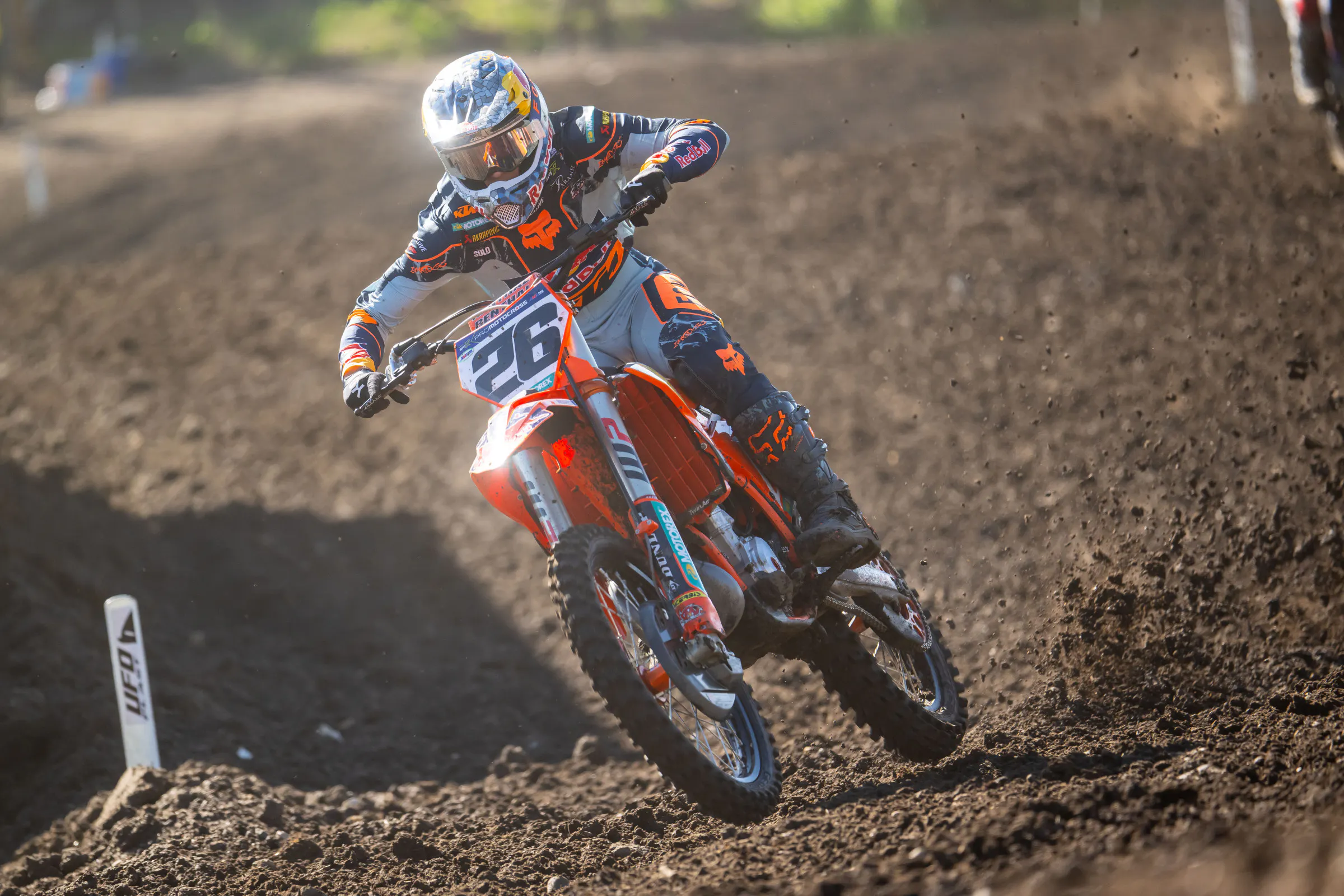 Jorge Prado
