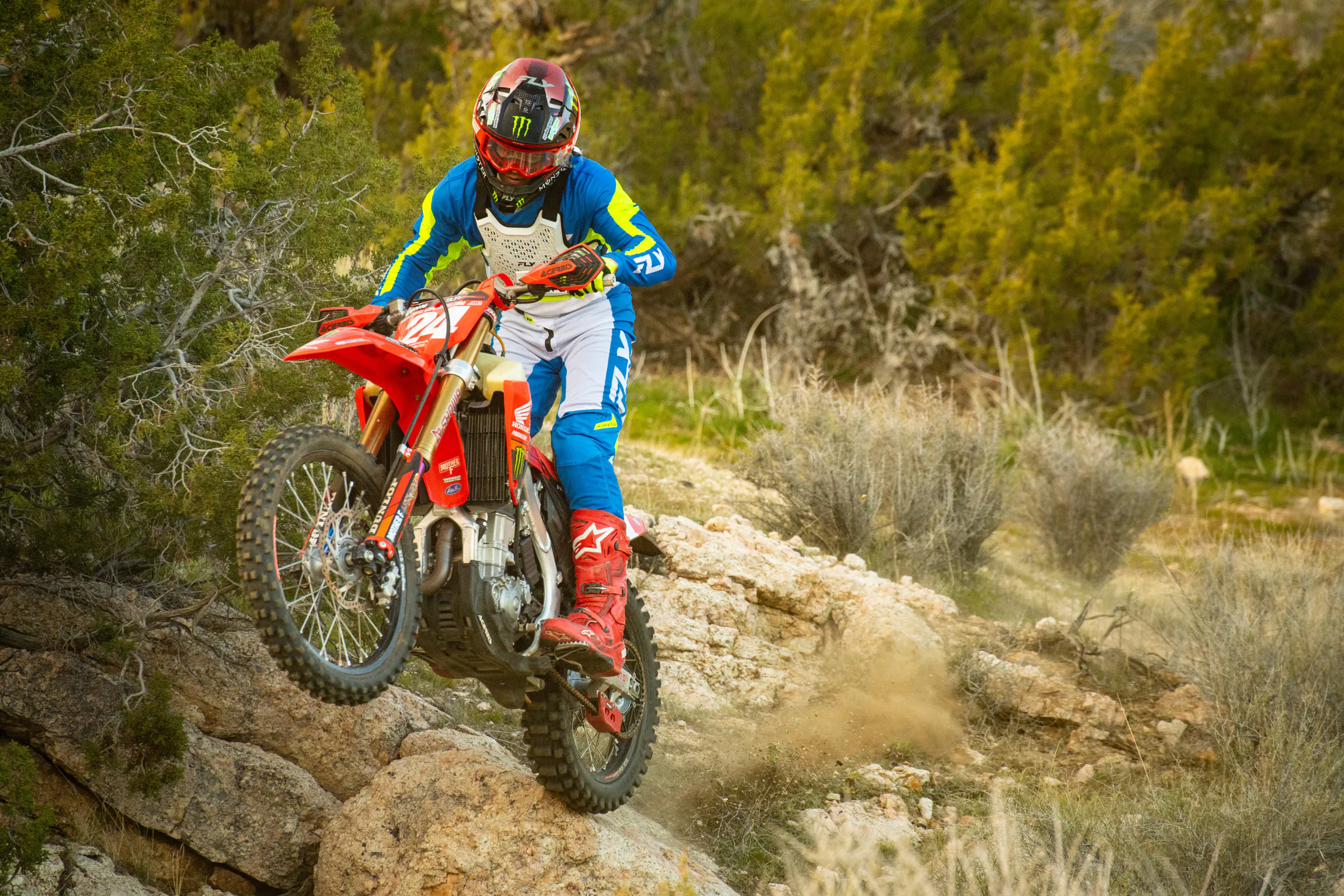 DSC_2415