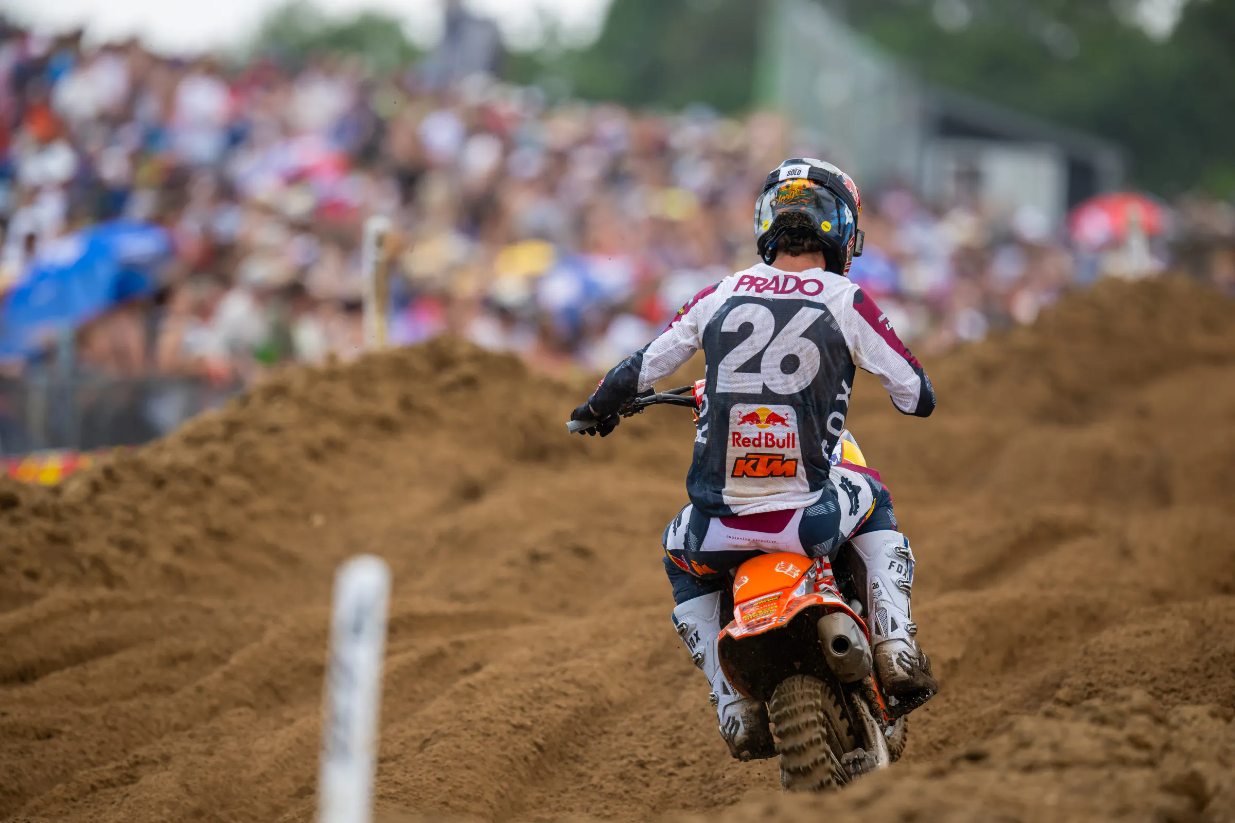 Jorge Prado