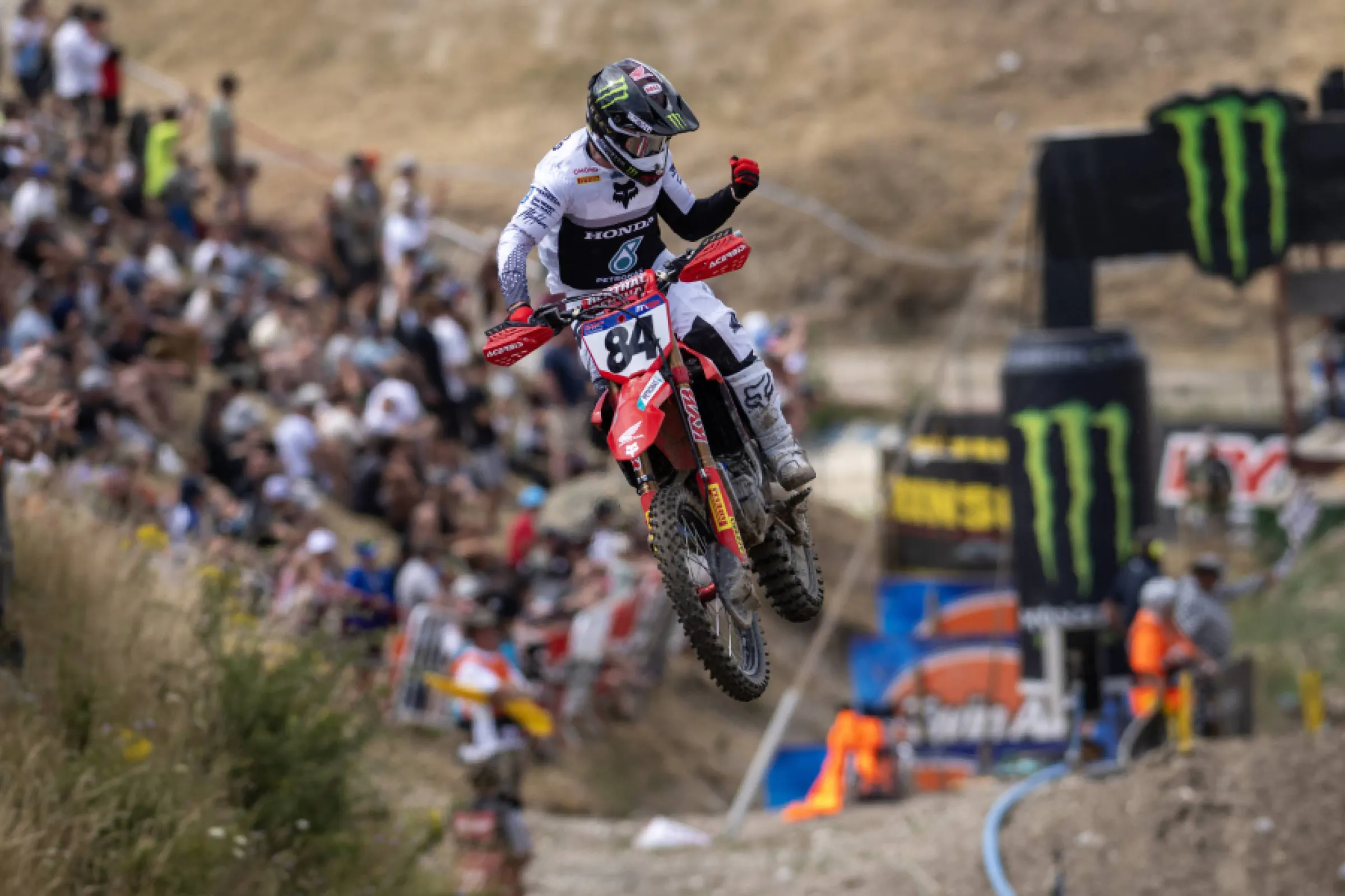 Herlings: 