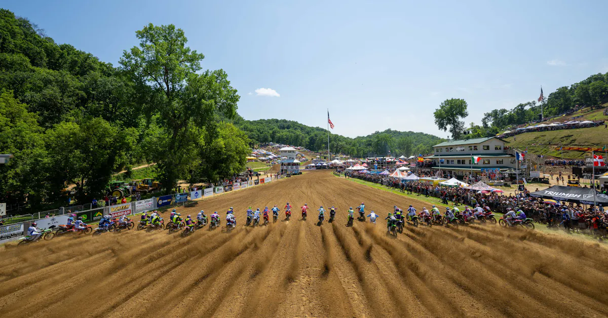 Steve Matthes' Observations from Spring Creek