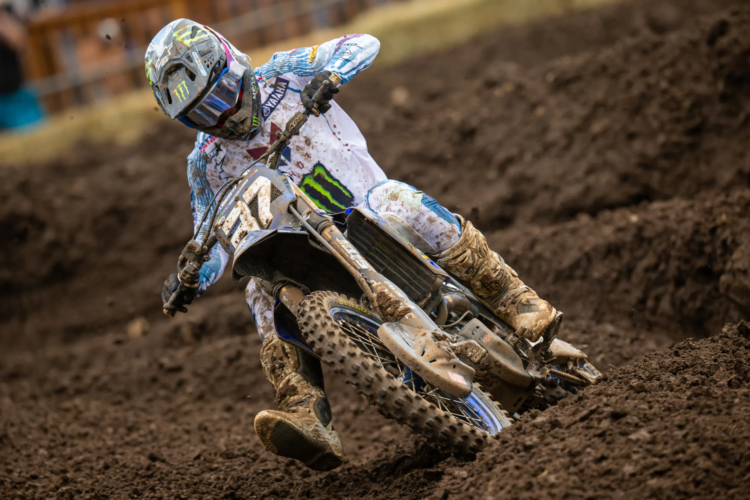 Cole Davies