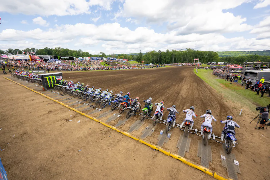 Steve Matthes' Observations from the Unadilla National