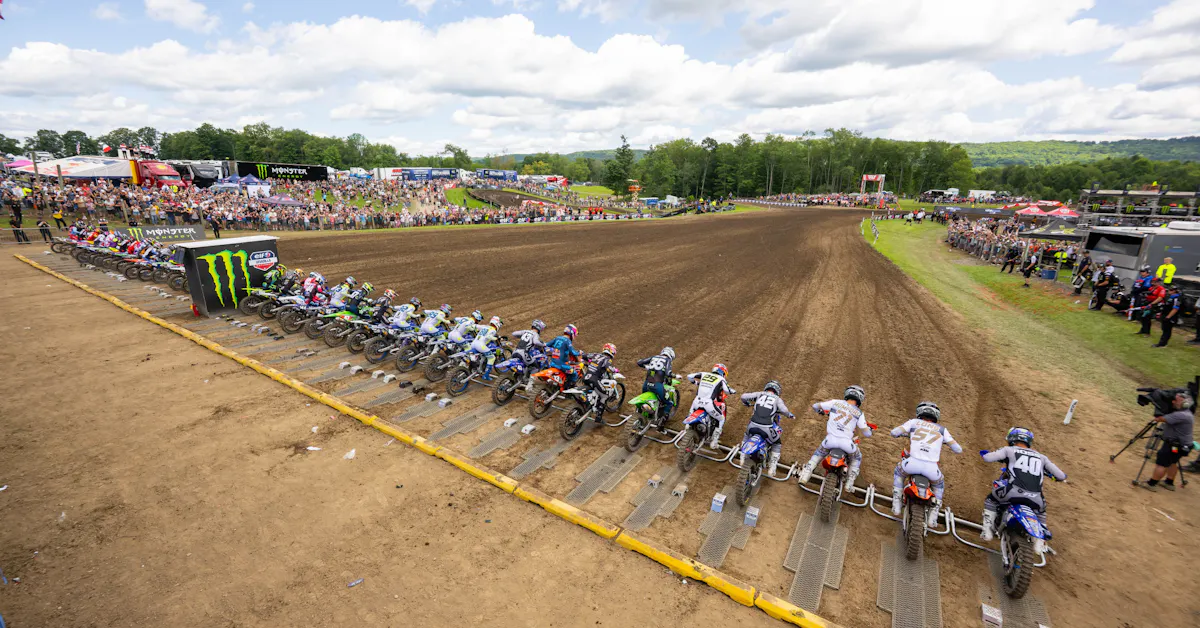 Steve Matthes' Observations from the Unadilla National