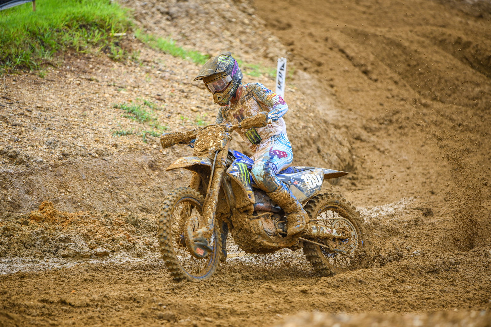10 Things We Learned at Budds Creek National